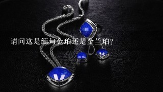 请问这是缅甸金珀还是金兰珀？