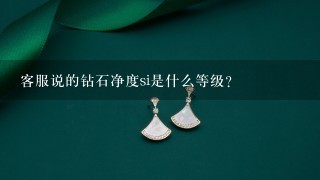 客服说的钻石净度si是什么等级？