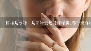 同样是冰种，是阳绿贵还是辣绿贵?哪个更有收藏价值？