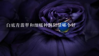 白底青翡翠和细糯种飘阳绿哪个好